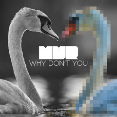 Mark van Rijswijk - Why Don't You