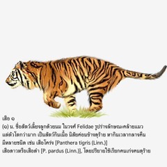 ยังต้า - บลอนด์ ๒ (คัฟเวอร์ โดย เสือวิ่ง)