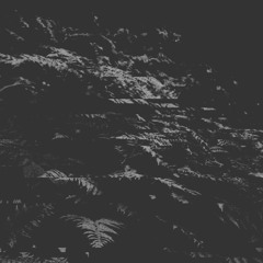 Phossa - Solaris x Sugarpill - These Days (mashup/edit)