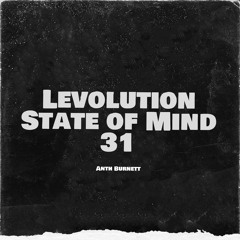 Levolution State Of Mind 31