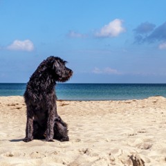 CXL Ft. Crews804: Cabo and the Movies