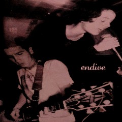 Endive - Rabbits