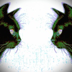 RIDDIM TALK (Free DL)