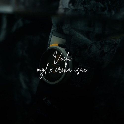 Stream M.G.L. X Erika Isac - Voila (Dj Kala Remix) by Dj Kala | Listen ...
