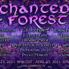 Enchanted Forest 12 3hr DJ Set (Forest/Twilight)