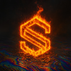 Fuel