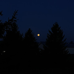 Night Manager (demo version).mp3