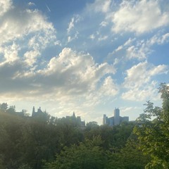 MESSY NESSY /// Live at RCS 🍄