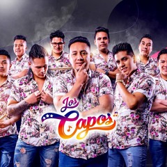 Agrupación Los Capos - Mix Maldita Ilusión (Arruidano, Te Necesito)