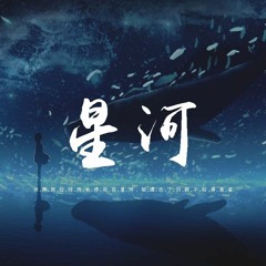 王巨星 - 星河「你跨越經緯而我停駐在星河，相遇忘了歸期不知身是客」【動態歌詞/pīn yīn gē cí】