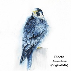 Free DL: Plecta - Benevolence (Original Mix) [ROFD]
