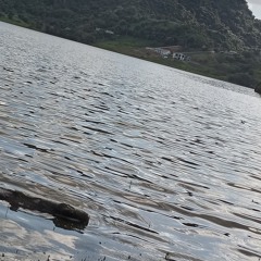 Chillax