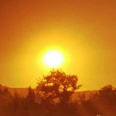 Oriental form --> Exclusive set by Indica