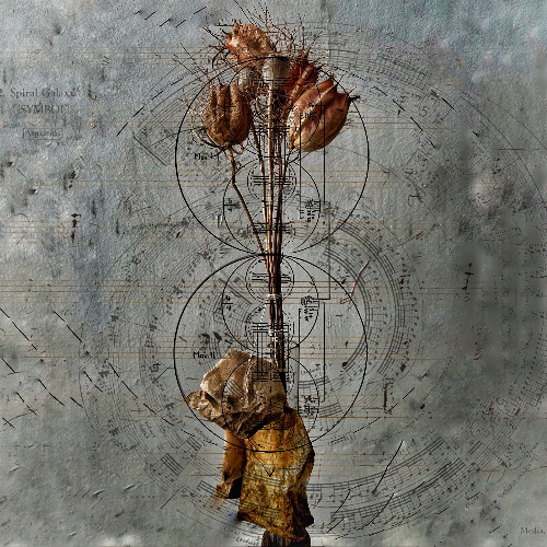 experimental 2