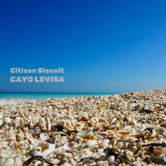 Cayo Levisa - Radio Edit