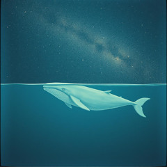Whale and Star