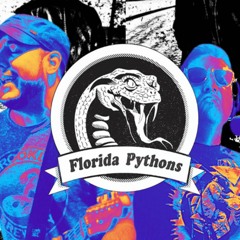Florida Pythons