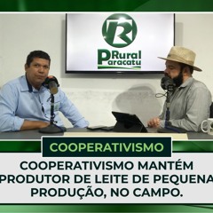 NOTÍCIAS DO LEITE: Cooperativismo mantém PRODUTOR DE LEITE de pequena produção, no Campo.