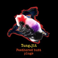 Feathered buttplugs