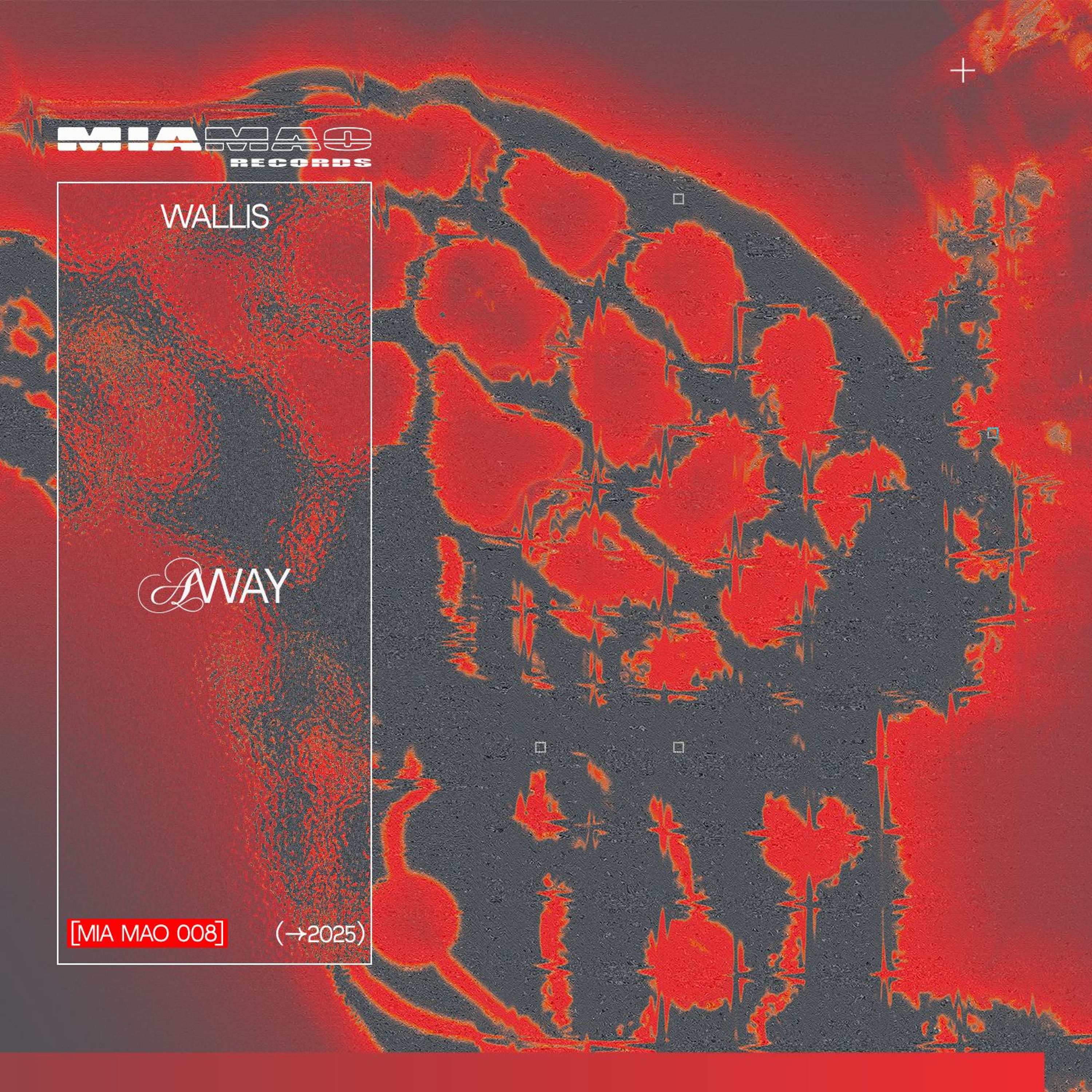 Premiere: Wallis — this is my last letter [MIAMAO008]