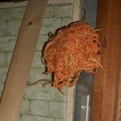Friday Night Spaghetti Night
