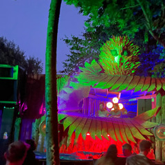 2 1/4 GFh @ Zauberwald Woodstoig Festival "Tarot, legen & legen lassen"