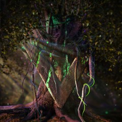 LYQD - Banyan Sway