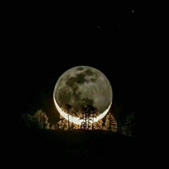 اسلام صبحي سورة الدخان 🖤