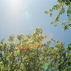 Dawn Chorus - Thom York - cover