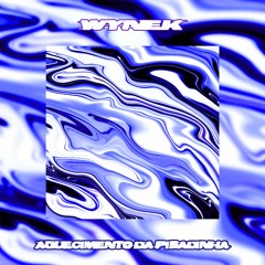 Wynek -  Aquecimento Da Pisadinha