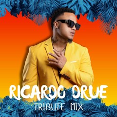 Ricardo Drue Tribute Mix