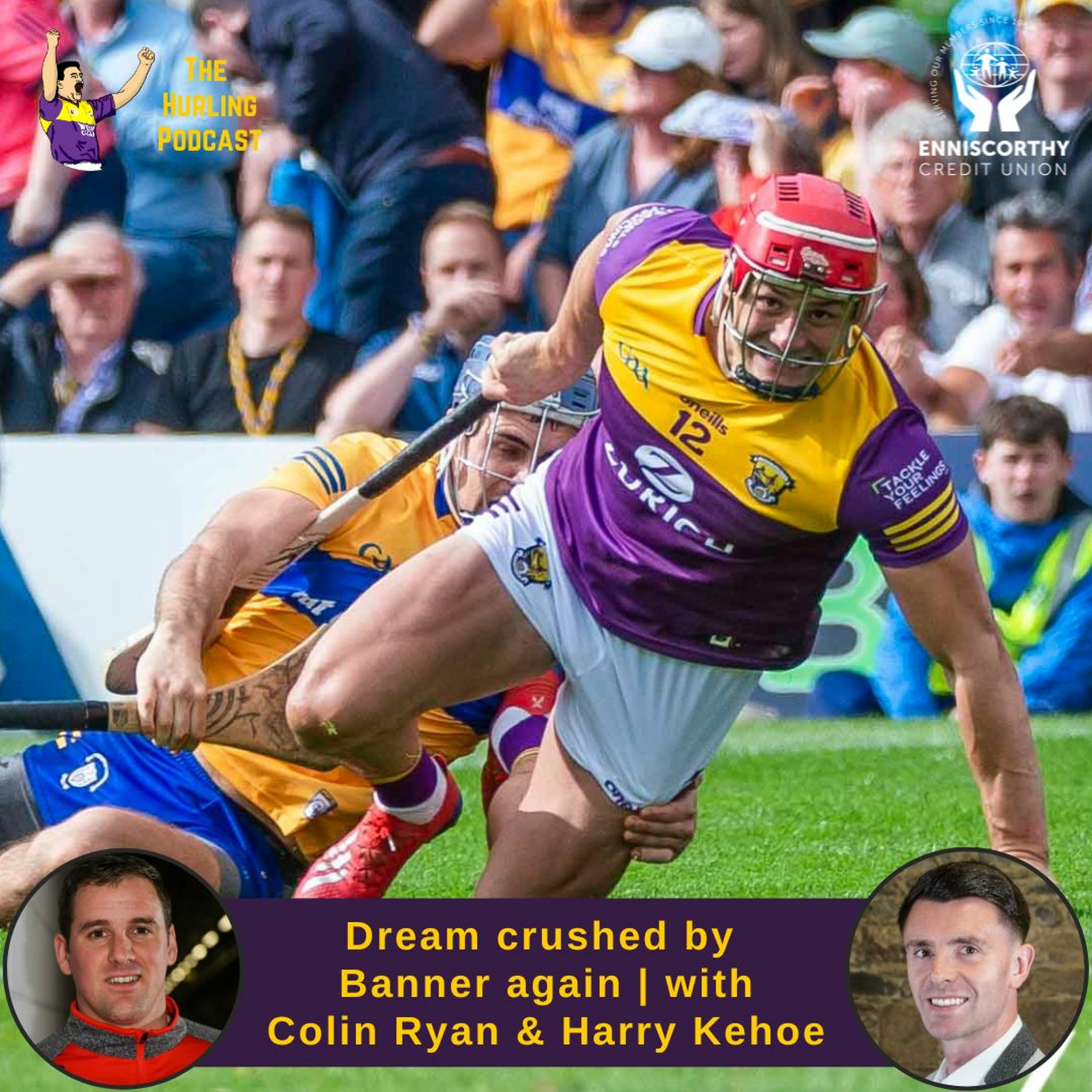 The Wexford Hurling Podcast