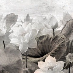 Mirokuu x cryyveil -little lotus (prod.cryyveil)