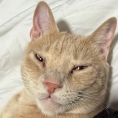 Moliy+Pantoja+Touch it (Master).m4a