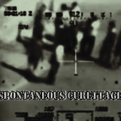 Failure To Resist Execution