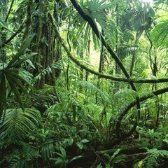 San Bá - Vicente García (Tiago remix)