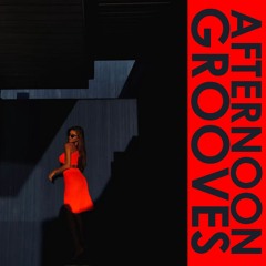 Afternoon Grooves vol.12