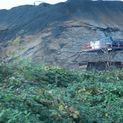 OARA Residents 001: Electrostaat