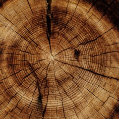 Anicca 432 Hz