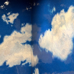 蛇年 (Year of Snake)