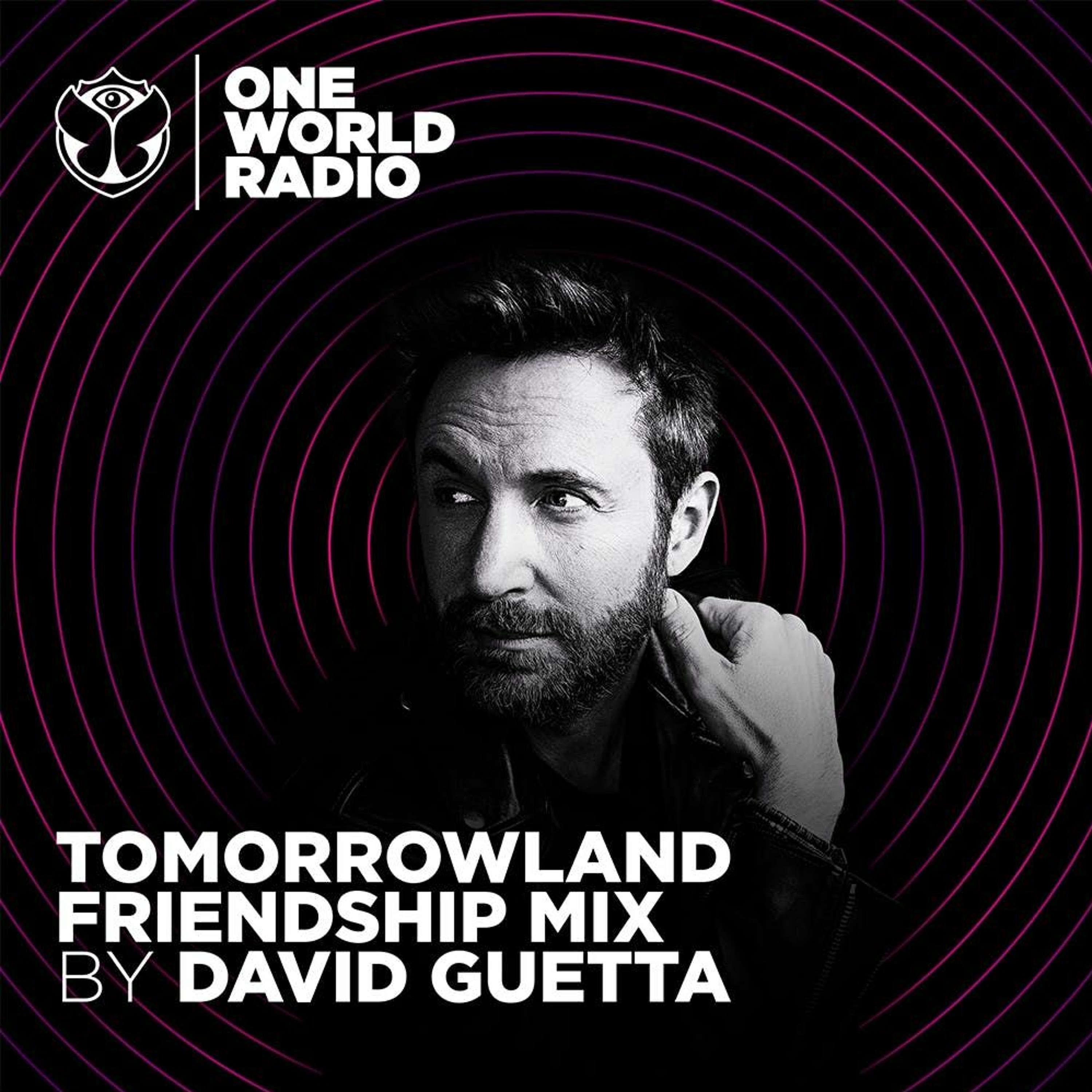 Tomorrowland Friendship Mix