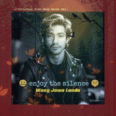 ENJOY THE SILENCE alternative slow deep house part 2