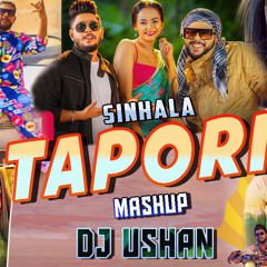 2022 Sinhala Tapori Mashup