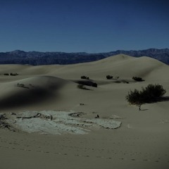 Al-Mutanabbi - The Steed, the night and the Desert Know Me Well