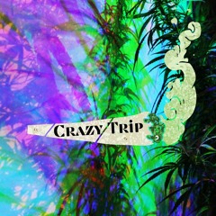 Crazy Trip