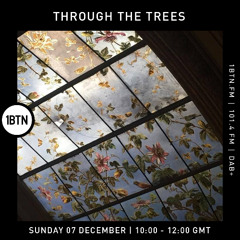 Through The Trees w/ Ty - 07.12.25