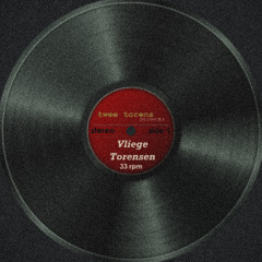 Vliege Torensen - An Introduction to Techno vol1