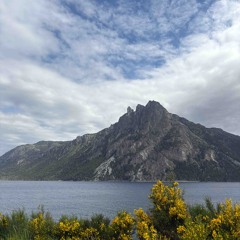 set progre experimental 1