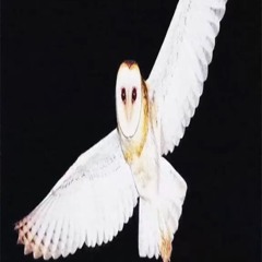 question de point de vue (feat @4f4rrr & @johnnyvirtuose)