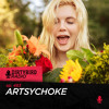 Dirtybird Radio 483 - Artsychoke